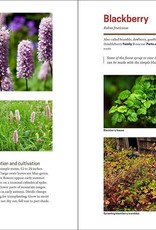 The Herbal Apothecary: 100 Medicinal Herbs and How to Use Them - JJ Pursell
