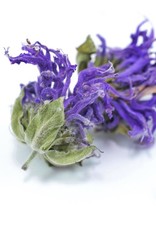 Monarda, Bee Balm, LOCAL, Organic, Wild-crafted, bulk/oz