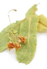 Linden Flowers & Leaf BULK HERB organic, bulk/oz