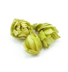 Hops flowers, organic, bulk/oz