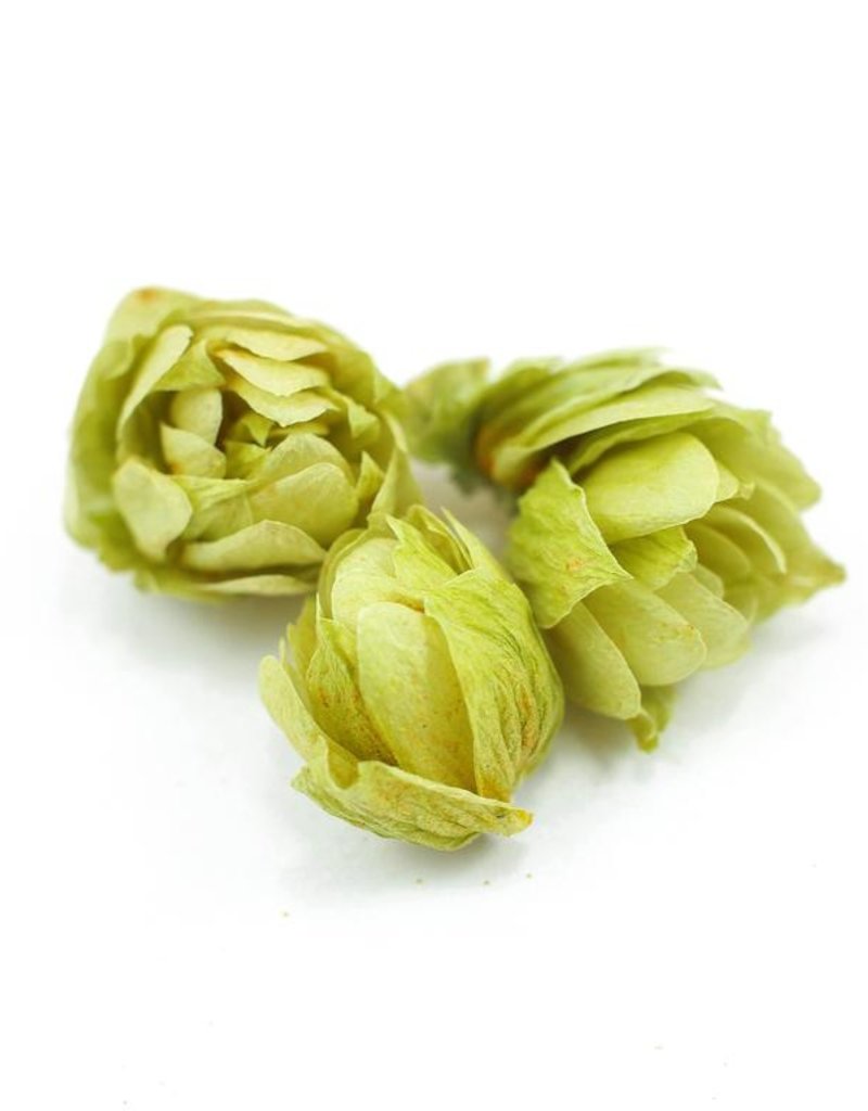 Hops flowers, organic, bulk/oz