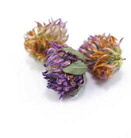 Red Clover Blossoms organic, bulk/oz