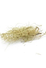 Usnea, Wild-crafted, bulk/oz