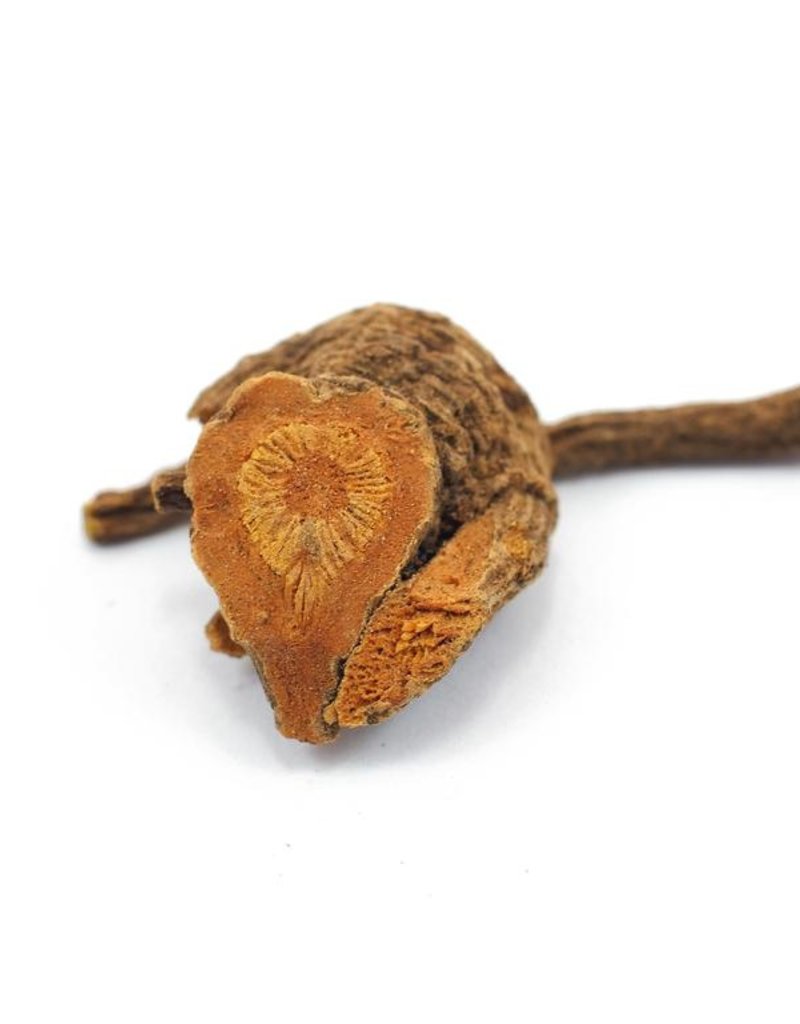 Yerba Mansa, Wild-crafted, bulk/oz