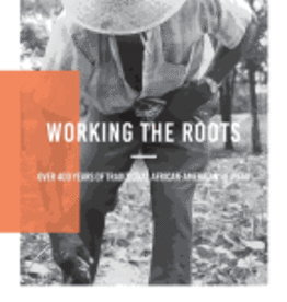 Working the Roots: Over 400 Years of Traditional African American Healing -  Michele Elizabeth Lee