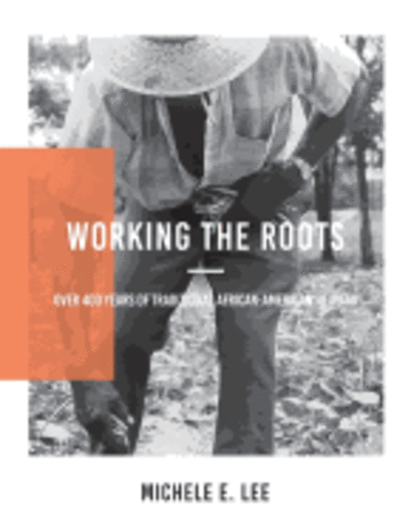 Working the Roots: Over 400 Years of Traditional African American Healing -  Michele Elizabeth Lee