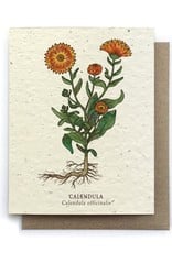 Plantable Seed Card