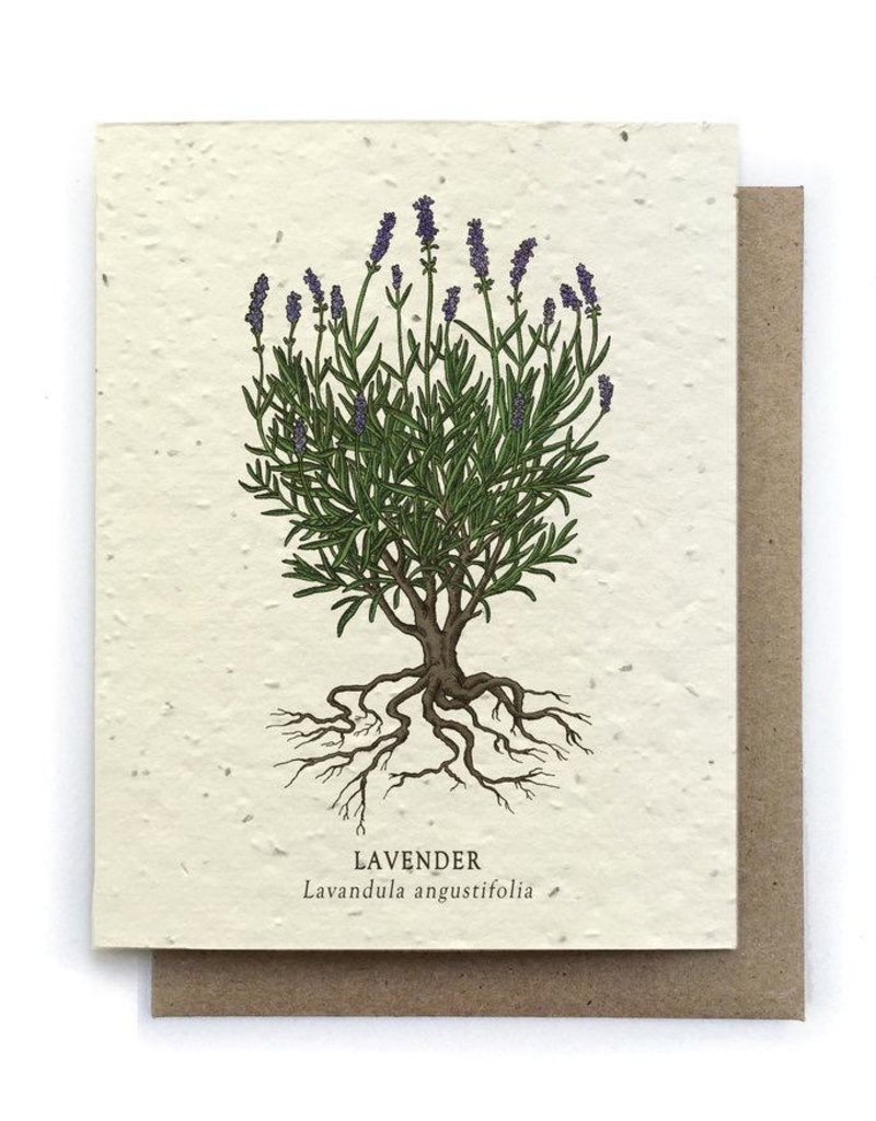 Plantable Seed Card