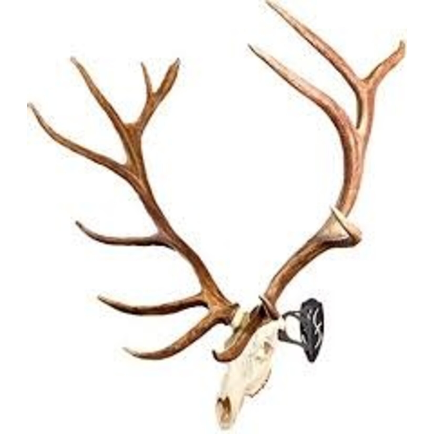 Skull Hooker SKULL HOOKER BH-ASSY BLACK BIG HOOKER SKULL HANGER