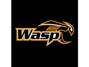 WASP ACHERY