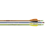 EASTON GENESIS ARCHERY ARROWS