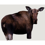 MONTANA DECOY INC MONTANA DECOY MOOSE II