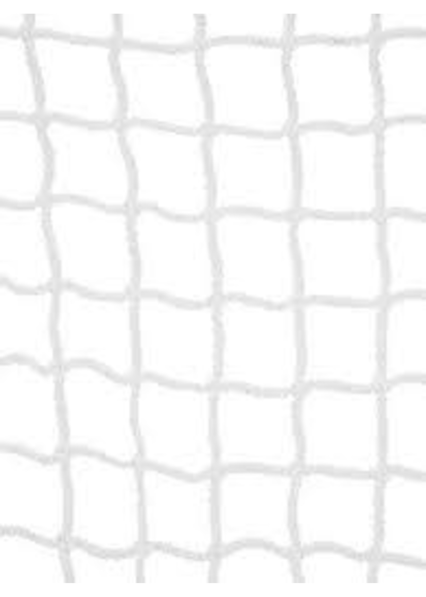 BLUE SPORTS 72" REPLACEMENT GOAL NET