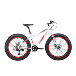 SEVEN PEAKS SEVEN PEAKS FAT-BIKE YETI X2 JR 24"