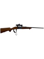 Savage Arms USED SAVAGE LEVER 243 WIN MODEL 99C W/ RED DOT, BOX MAG, 22" BRL 1976 PISTOL GRIP WOOD STOCK