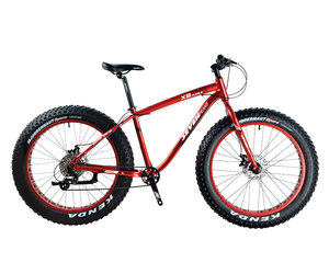 Seven peaks fat sale bike