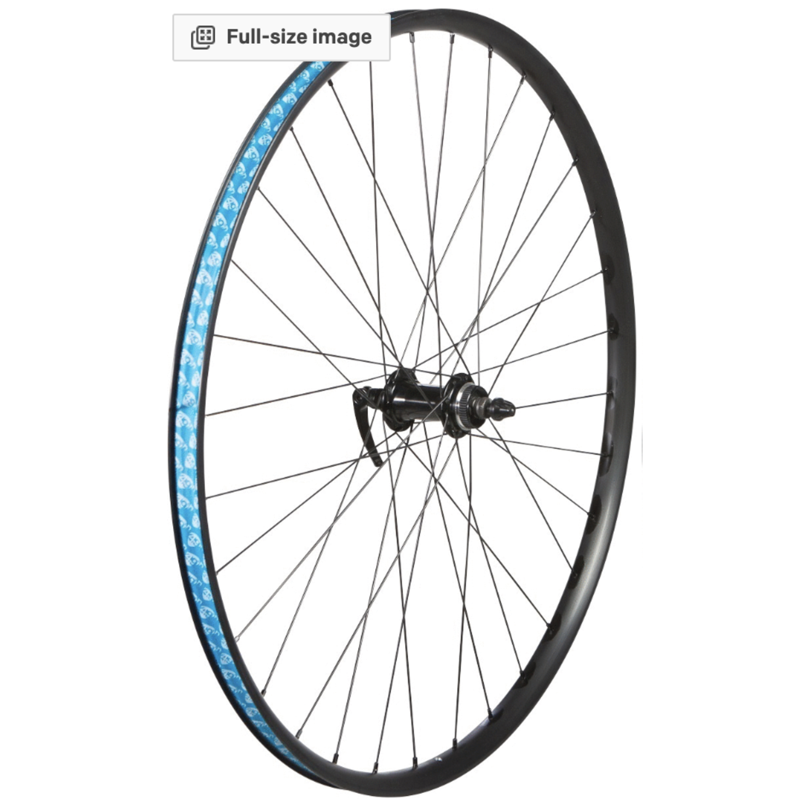 49N 49N WHEEL FRONT 29" DSC CL/6B QR BK