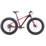 FAT BIKES