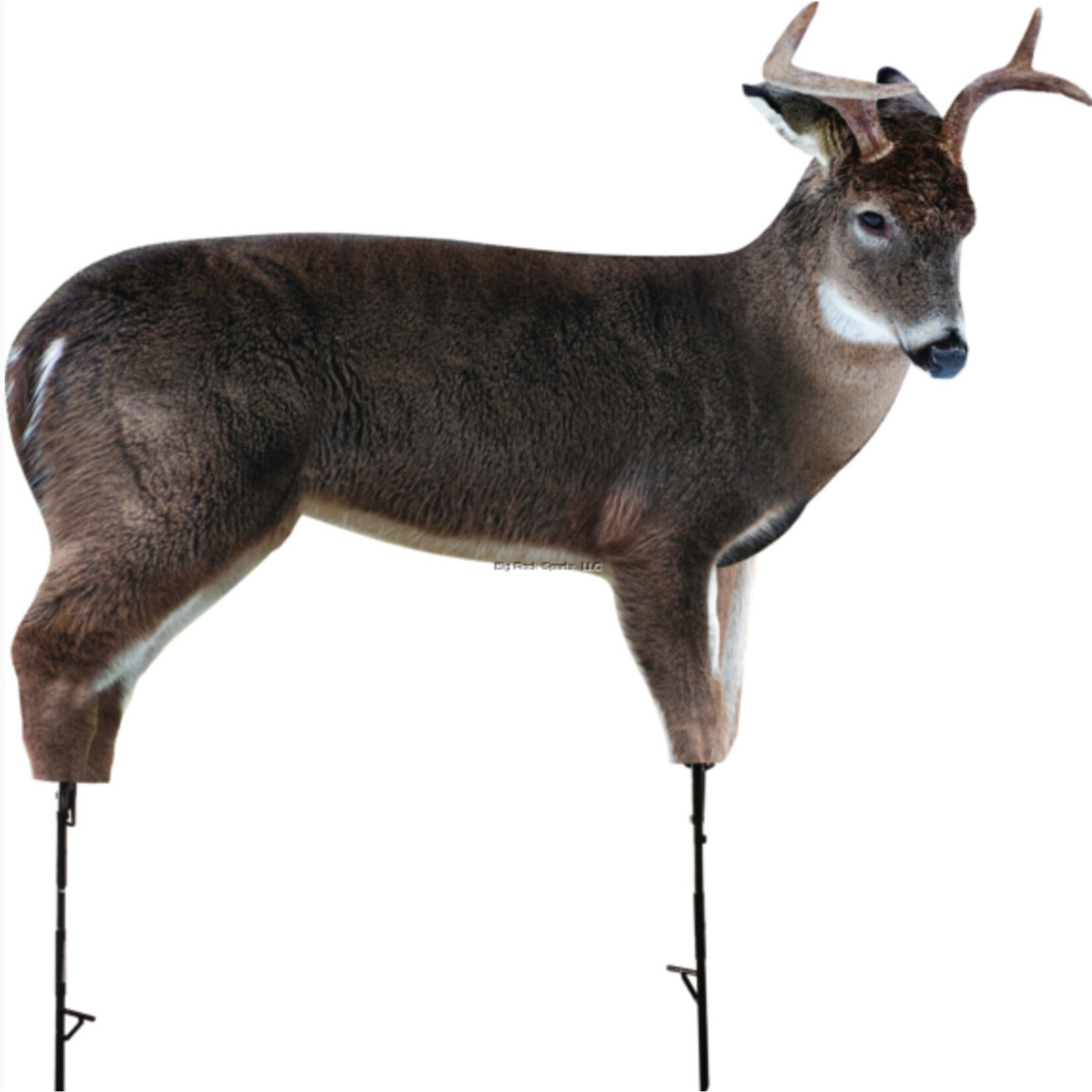 MONTANA DECOY INC MONTANA DECOY CO. THE FRESHMAN WHITETAIL BUCK
