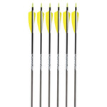 GOLD TIP GOLD TIP  WARRIOR 500  4" FEATHER ARROW