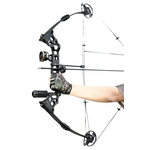 GA X8 DRAGON BOW COMPOUND PKG BLACK RH 0-70LB  18-31DL, 310FPS, AA30" BH 6.6"