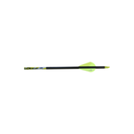 CARBON EXPRESS CARBON EXPRESS ARROWS D-STROYER 400 SPINE