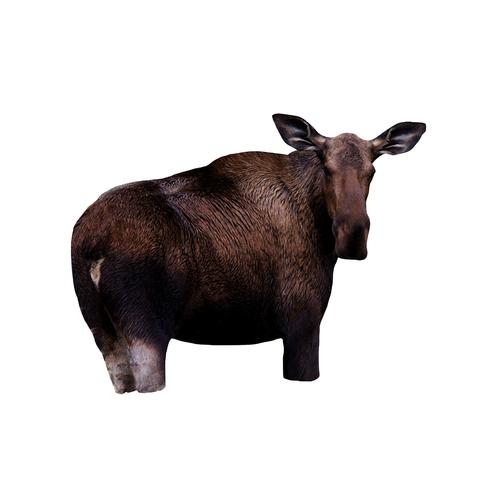 MONTANA DECOY INC MONTANA DECOY MOOSE II