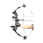 GA X8 DRAGON BOW COMPOUND PKG BLACK RH 0-70LB  18-31DL, 310FPS, AA30" BH 6.6"