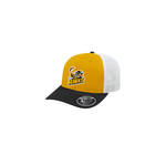 CANADA SPORTSWEAR HAWKS SNAPBACK HAT YELLOW/WHITE/BLACK