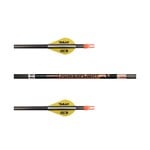 EASTON EASTON CARBON POWERFLIGHT 300 ARROWS (65 LBS)