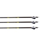 GAA GOLDEN ARROW HUNTER 300