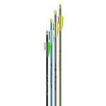 EASTON GENESIS ARCHERY ARROWS