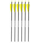GOLD TIP GOLD TIP  WARRIOR 500  4" FEATHER ARROW