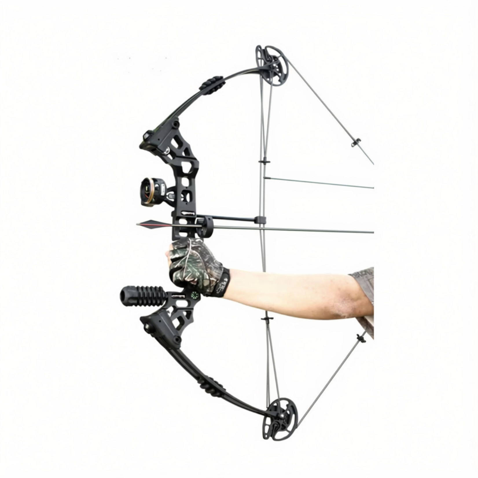 GA X8 DRAGON BOW COMPOUND PKG BLACK RH 0-70LB  18-31DL, 310FPS, AA30" BH 6.6"