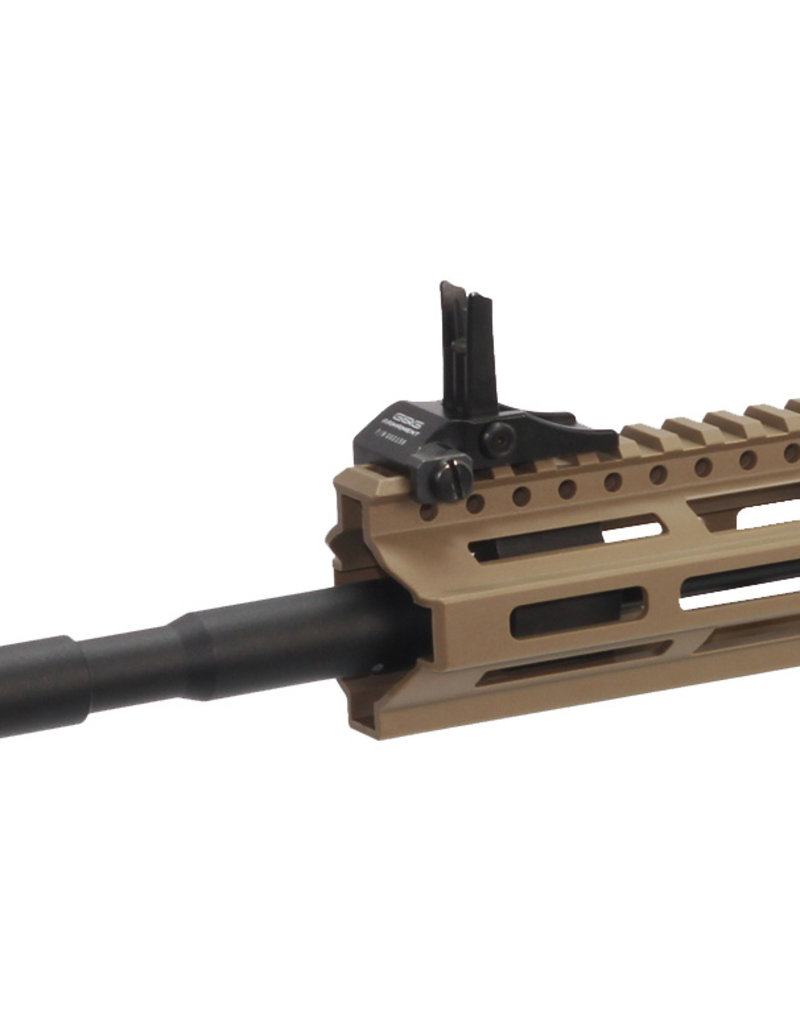 G&G CM16 Raider-L 2.0 E Tan