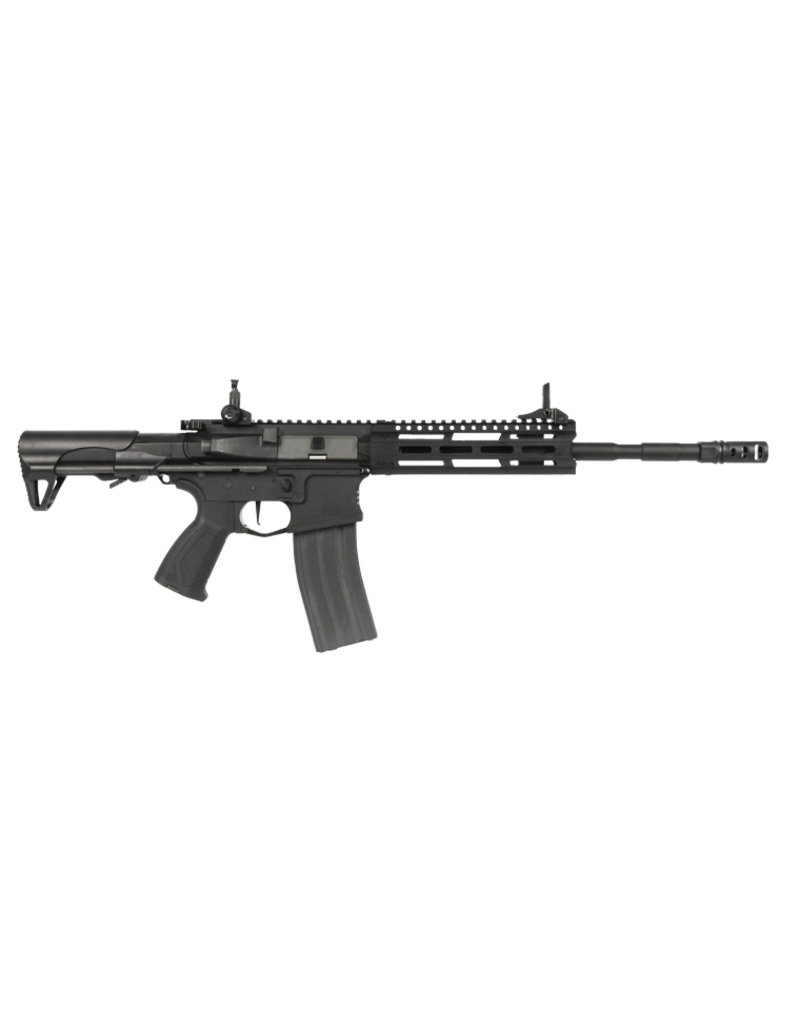 G&G CM16 Raider-L 2.0 E Black