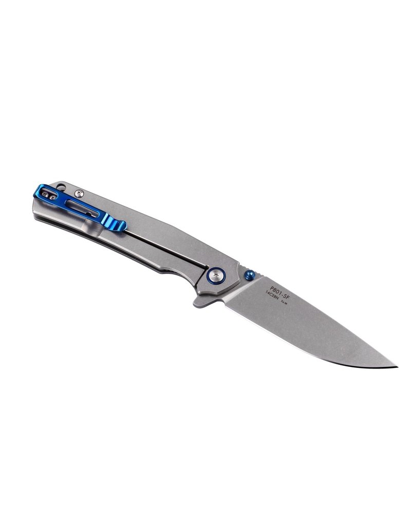 Ruike P801