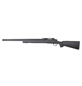Raven Evolution SR24