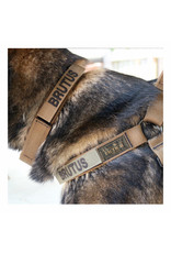 United States Tactical Collar