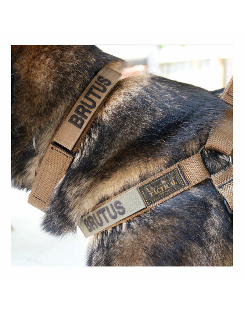 United States Tactical Collar