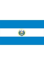 Salvador Flag