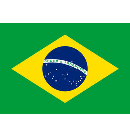 Brazil Flag