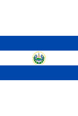 Salvador Flag