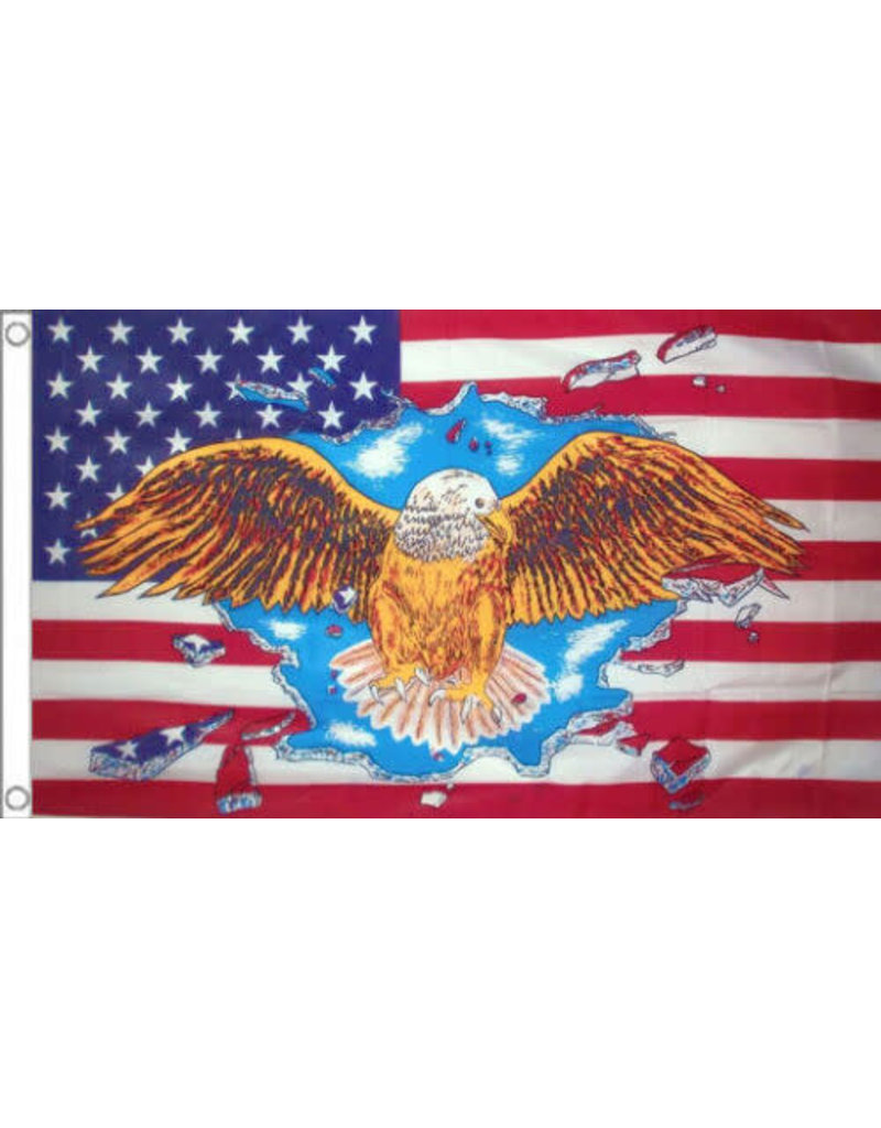 USA Eagle Flag