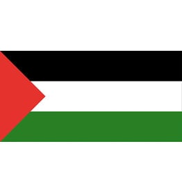 Palestine Flag