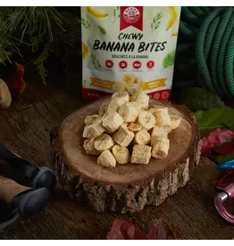 Nomad Nutrition Chewy Banana Bites