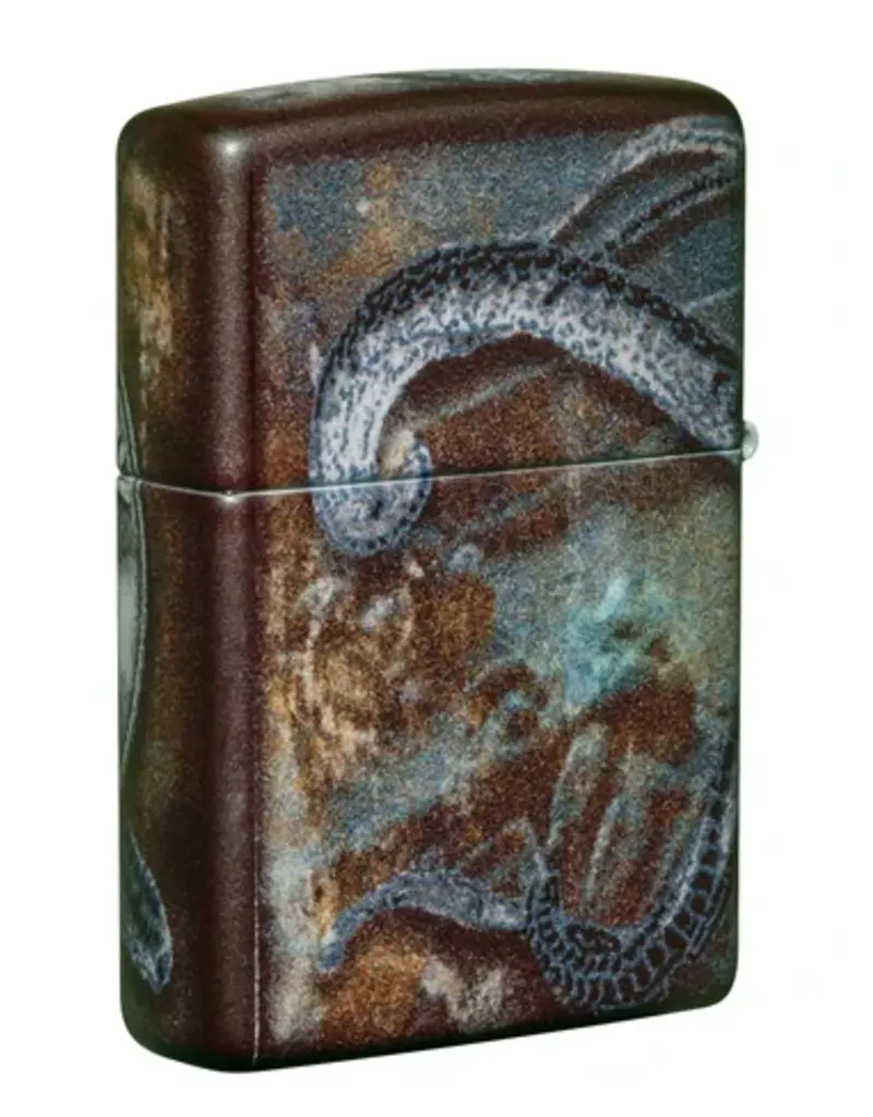 Zippo Pirate Coin Design