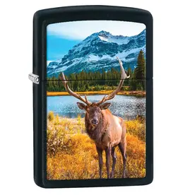 Zippo Autumn Moose Park