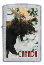 Zippo Canada Moose