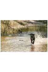 5.11 Tactical Mission Ready Dog Harness